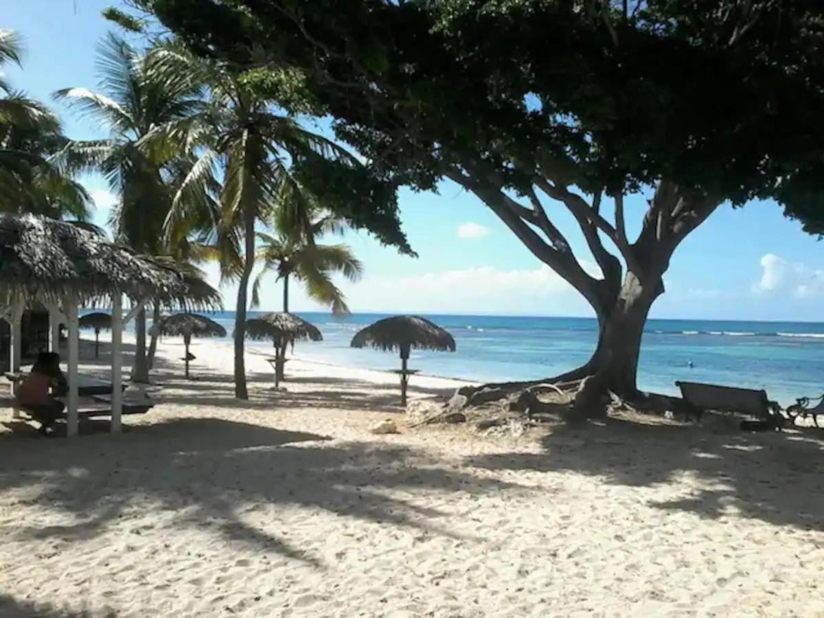 Karibeko : Exceptionnel & Rare : Plage , Piscine, Wifi Prive Saint-Francois  Eksteriør billede
